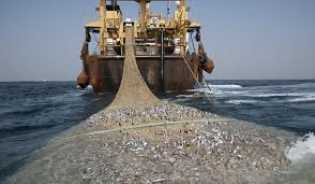 DPRD Kuatir Ilegal fishing Banyak Berlabu di Rohil