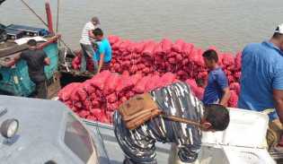 Dari Malaysia, 8 Ton Bawang Merah di Gerebek di Rohil
