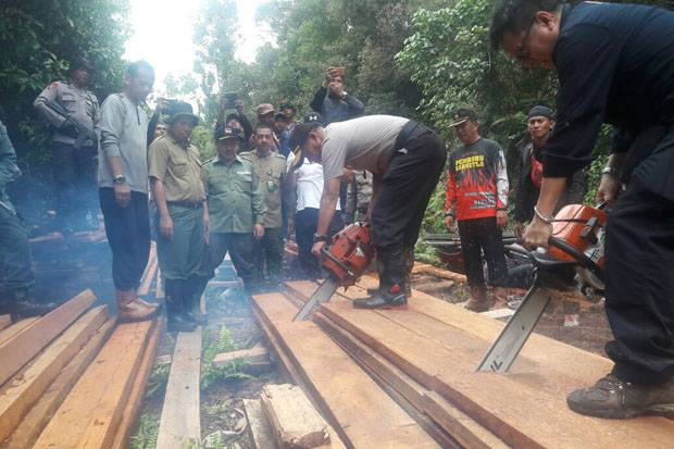 Tim LHK Grebek Pembalakan Liar di Cagar Biosfer Giam Siak Kecil