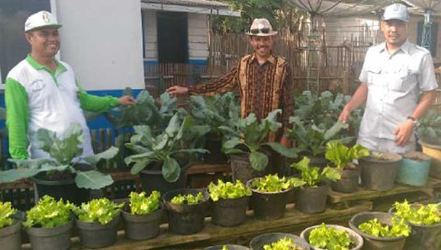 Kukerta UNRI di Rohil Bangun Rumah Pangan Lestari