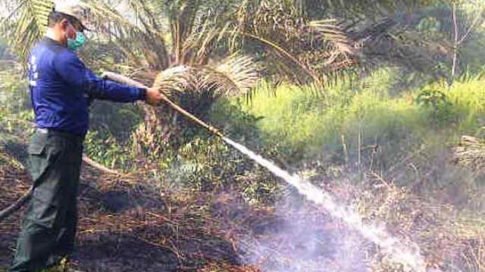 Bupati Rohil Akan manfaatkan Sungai Rokan