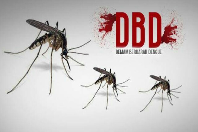 Ginda Ajak Masyarakat Berantas Sarang Nyamuk Untuk Mecegah Ancaman DBD di Tengah Pandemi Covid-19