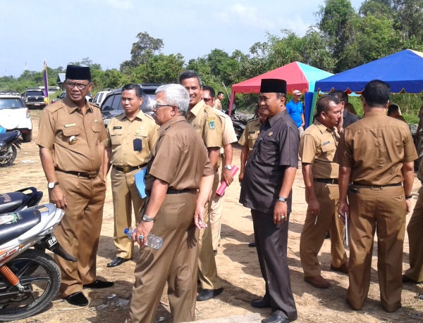 Ratusan Pohon Ketapang Hiyasi Lokasi Parit Bepak
